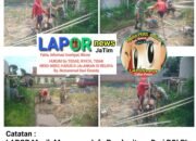 Dukung Ketahanan Pangan, Babinsa Aktif Dampingi Petani Desa Binaan